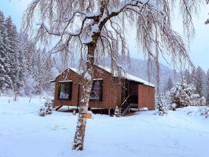 uma cabana na neve ao lado de uma árvore em Almliesl UNKE-684 em Unken