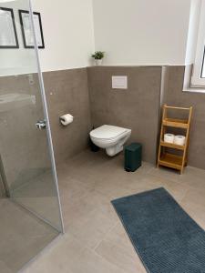 a bathroom with a toilet and a glass shower at BnB Open Apartments Pader-Lounge in Paderborn