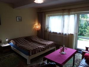 Górski Zakątek z kominkiem i tarasem في Laliki: غرفة نوم بسرير ونافذة وطاولة