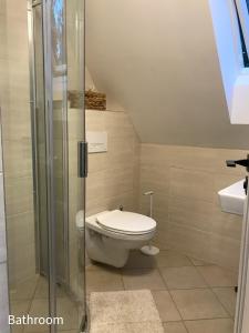 a bathroom with a toilet and a glass shower at Quiet, green, relaxing place - 1 bedroom apartment in Balatonfüred +11 photos