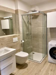 a bathroom with a shower and a toilet and a sink at Apartmán SIX v Resortu pod Špičákem in Smržovka