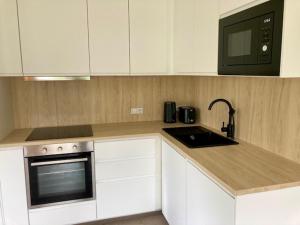 Kuchyň nebo kuchyňský kout v ubytování Apartmán SIX v Resortu pod Špičákem