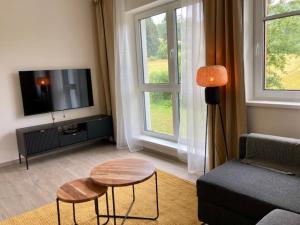 TV a/nebo společenská místnost v ubytování Apartmán SIX v Resortu pod Špičákem