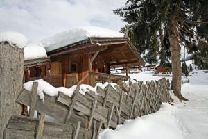 Almliesl HOLL-361 im Winter