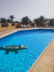 a fish in the middle of a swimming pool at Pendhous Sabina mit Jacuzzi in Callao Salvaje