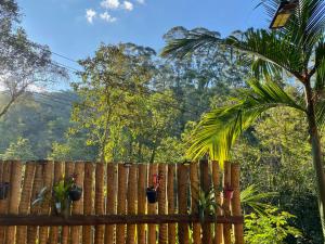 une clôture en bois recouverte de plantes en pot. dans l'établissement Alto na Montanha Chalé 1, à Visconde de Mauá