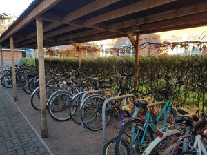 een stel fietsen geparkeerd onder een gebouw bij Apartment on ground floor in Oxford city centre in Oxford