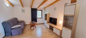 salon z kanapą i telewizorem w obiekcie Holiday Houses Marta w Rovinj