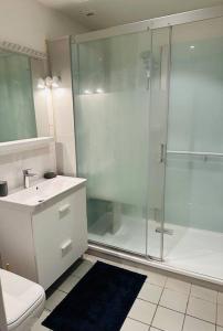 een badkamer met een douche, een toilet en een wastafel bij Appartement - Ax les Thermes in Ax-les-Thermes