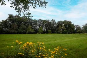 a field of green grass with trees and yellow flowers at The Ripon Inn - The Inn Collection Group in Ripon