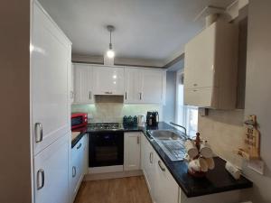 A kitchen or kitchenette at Swan Apartment