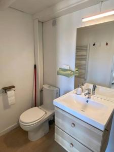 La salle de bains est pourvue de toilettes, d'un lavabo et d'un miroir. dans l'établissement Loft Sur les toits, à Aix-en-Provence