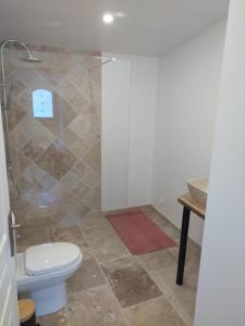 a bathroom with a toilet and a glass shower stall at Love Room La parenthèse in Saint-Nexans