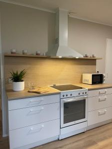 a kitchen with a white stove and a microwave at Pieni omakotitalo joen rannalla in Rautio