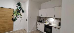 Kuchnia lub aneks kuchenny w obiekcie Apartamenty Częstochowa