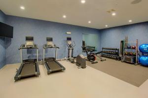 een fitnessruimte met diverse loopbanden en hometrainers bij Homewood Suites by Hilton South Bend Notre Dame Area in South Bend