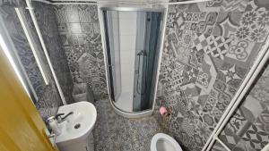a bathroom with a shower and a sink and a toilet at Gara de Nord-Banat-4-You in Bucharest