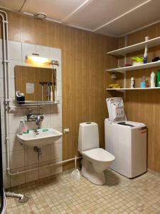 a bathroom with a toilet and a sink at Kotimaailma - Hostel Kivikkotie in Vantaa
