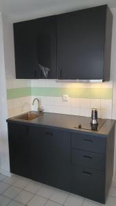 Kuchyň nebo kuchyňský kout v ubytování Appartement Vue bleu azur + 11 fotografií