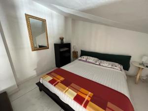 a bedroom with a large bed and a mirror at Tacos House in Empoli