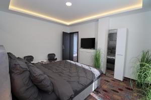 a living room with a bed and a television at Prestige Miskolctapolca in Miskolc