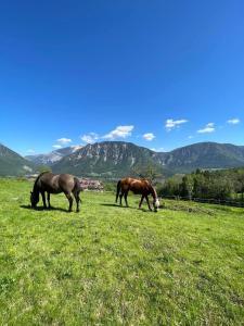 two horses grazing in a field with mountains in the background at Mariengestüt am Kreuzberg in Reichenau