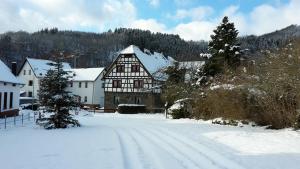 a snow covered village with a large house and trees at VivaNatura EifelferienStudio in Simmerath