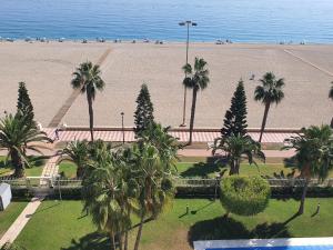 a view of a beach with palm trees and the ocean at Primera línea playa in Roquetas de Mar