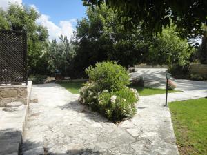 Zahrada ubytování Spanos House