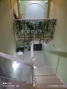 an overhead view of a staircase with a plant at GVR Praia Hostel in João Pessoa