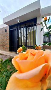 einen Haufen orangefarbener Rosen vor einem Gebäude in der Unterkunft Sueños del Pilar in Godoy Cruz