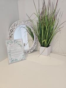 Gallery image of @Galpin15 in Summerstrand