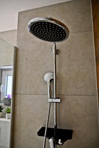 a shower with a shower head in a bathroom at Apartment Lilly in Slivnica pri Mariboru