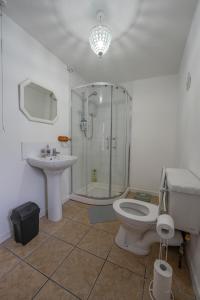 un bagno con doccia, WC e lavandino di Waterfall Cottage a Carnlough