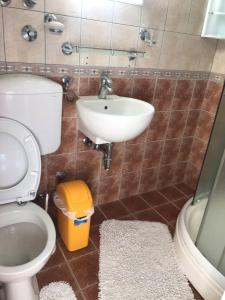 a bathroom with a toilet and a sink at Apartment Nelli in Herceg-Novi