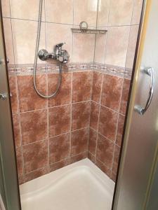 a bathroom with a shower with a tub at Apartment Nelli in Herceg-Novi