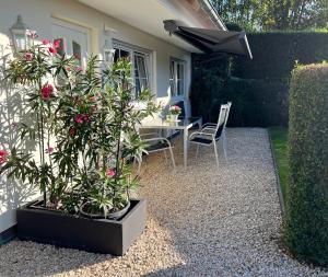 eine Terrasse mit einem Tisch und einigen Pflanzen und einem Sonnenschirm in der Unterkunft Ferienwohnung Hainzinger in Rettenberg