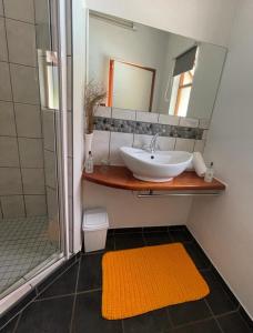 a bathroom with a sink and a shower with a mirror at Marula Lodge in Swellendam