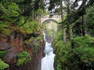 un ponte su un fiume in una foresta di Appartement Cauterets, 3 pièces, 6 personnes - FR-1-234-142 a Cauterets