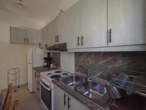 cocina con fregadero y fogones en Like HomeRetro Central Apartment, en Tríkala