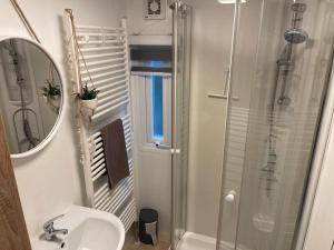 a bathroom with a shower and a sink and a mirror at Stijlvol Chalet Lathum in Lathum