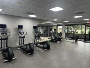 a gym with several treadmills and elliptical machines at Wingate Houston near NRG Park/Medical Center in Houston