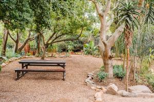 una mesa de picnic en medio de un jardín en 7 Pepper Street by African Perfection, en Jeffreys Bay