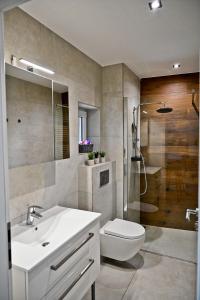 a bathroom with a sink and a toilet and a shower at Apartment Lilly in Slivnica pri Mariboru
