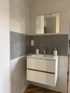 een badkamer met een wastafel en een spiegel bij Appartement Mende 2 Chambres Canapé lit WIFI Gratuit in Mende