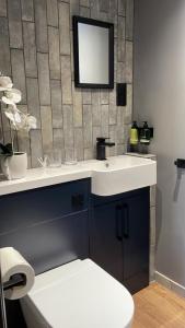 ein Badezimmer mit einem Waschbecken, einem WC und einem Spiegel in der Unterkunft Park Lane Rooms in Abergavenny