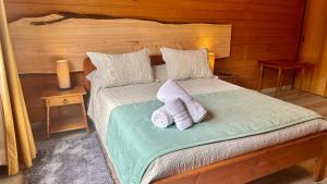 Postel nebo postele na pokoji v ubytování Hotel El Coihue