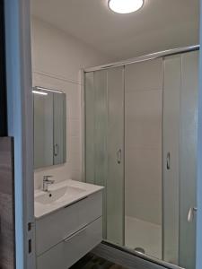 La salle de bains blanche est pourvue d'un lavabo et d'une douche. dans l'établissement Grand lumineux appartement près de Paris de 4 chambres, 80 m², à Cergy
