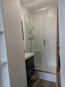 La salle de bains est pourvue d'une douche et d'un lavabo. dans l'établissement Grand lumineux appartement près de Paris de 4 chambres, 80 m², à Cergy