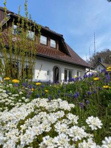 un jardín de flores frente a una casa en Ferienwohnung Eifelglück, en Pelm